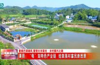 “龟”划特色产业链 渠县绘就强村富民新图景