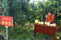 “渠橙柚礼”达人直播大赛点燃宕渠农产带货热