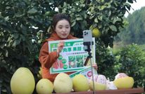 群众满意｜渠县：精准监督护航产业发展 直播助农破解“销售难题”