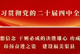 冬日来信｜在渠县秀岭春天，赴一场红叶与茶山的温柔邂逅
