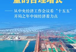 新华全媒头条·聚焦中央经济工作会议｜从中央经济工作会议看“十五五”开局之年中国经济着力点