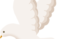 新年致辞 | 渠江奔涌处正是奋楫时——致福美渠县的每一位奋斗者