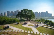 玩转渠县|快收藏！渠县的阳光，要这样“玩”才够味→