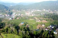 【渠向未来“十五五”】渠县：“协商助企”精准发力 激活农业发展新动能