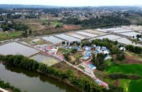 中滩镇：千人全鱼宴“鲜”翻春节