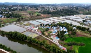 中滩镇：千人全鱼宴“鲜”翻春节