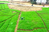 【渠向未来“十五五”】渠县：科技赋能精准普查 扎实推进“四农普”工作