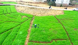 【渠向未来“十五五”】渠县：科技赋能精准普查 扎实推进“四农普”工作