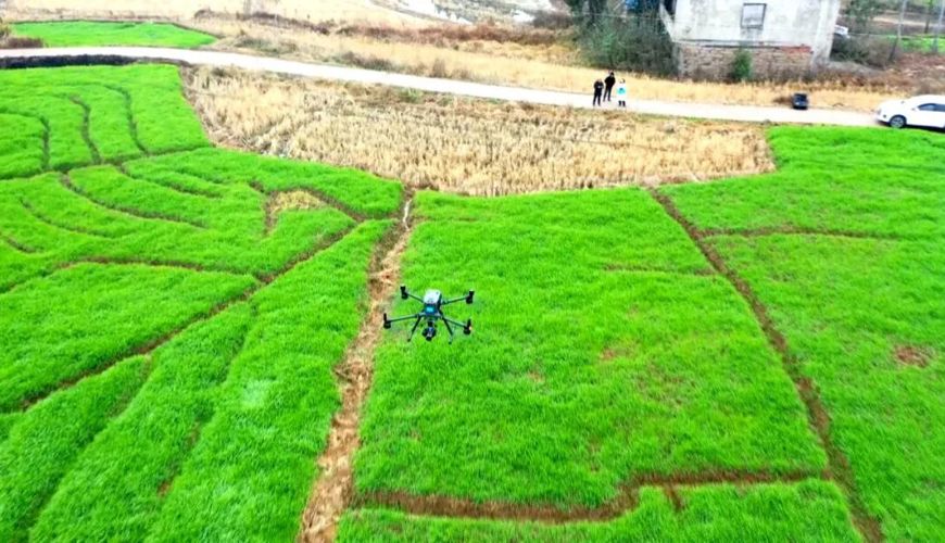 【渠向未来“十五五”】渠县：科技赋能精准普查 扎实推进“四农普”工作