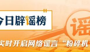 网信部门从严整治传播无AI标识的虚假不实信息问题（2026·02·13）