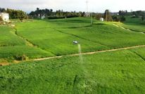 渠县：惊蛰启春耕 田间农事忙