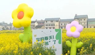 油菜花田藏春味 把春天炒进锅里“炫”进嘴里