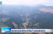 唐廷教赴渠县调研达州钾盐产业基地建设情况
