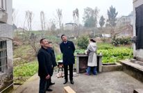 聚焦两会 |【代表风采】代晓双：代表履职显担当 产业兴农促发展