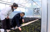 聚焦两会 |【代表风采】唐红军：扎根中药产业 践行代表担当