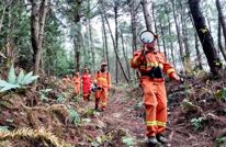 清明将至 渠县筑牢森林防火安全防线