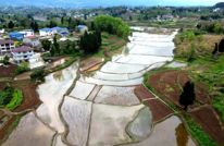 渠县：小块田适配小农机 碎田备耕忙