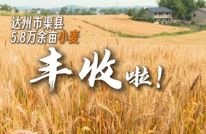 四川观察 | 不晒不囤不转运，渠县小麦收割省时又省心