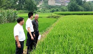 清风进院坝 晒出幸福感——渠县创新“幸福晒场”激活基层监督末梢