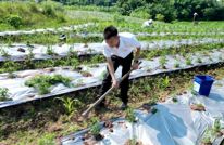 四川省优秀党务工作者刘会长：扎根乡土践初心 党建引领兴乡村