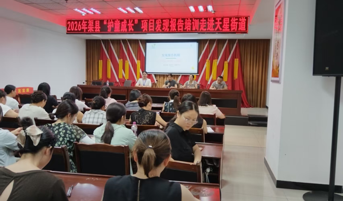 天星街道召开“护童成长”项目发现报告专题培训会
