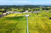 渠县：120余台套智能烘干机具 为秋粮归仓“保驾护航”