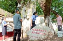 渠县：给428株古树上“身份证” 精细化守护绿色乡愁