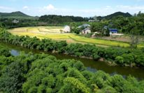 渠县扎实推进第四次全国农业普查筹备工作