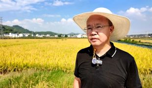 “一田多用”稻虾共生 稳粮增效促民增收