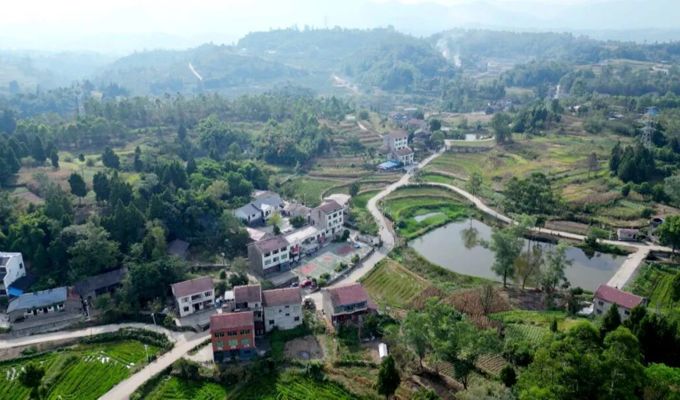 丰乐镇川燕村：探索集体经济“百万增收”新路径（上）建强队伍盘活资源 粮油产业稳底盘