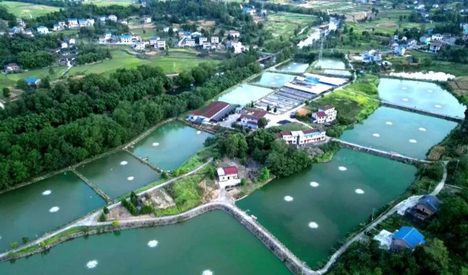 丰乐镇川燕村：探索集体经济“百万增收”新路径（下）