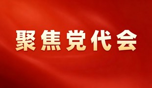 乘势而上 踔厉奋发丨深入学习贯彻县第十五次党代会精神（三）