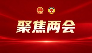接续奋斗 笃行不怠丨深入学习贯彻县两会精神（三）