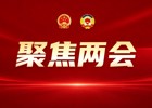 接续奋斗 笃行不怠丨深入学习贯彻县两会精神（四）