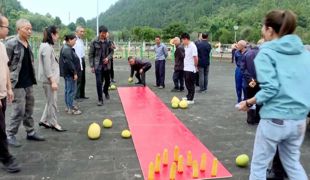 渠县丰收运动会别出心裁 南瓜当冰壶 柚子打保龄