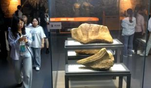 中国汉阙文化博物馆国庆假期成热门打卡地