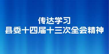 传达学习县委十四届十三次全会精神