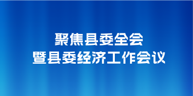 聚焦县委全会暨县委经济工作会议